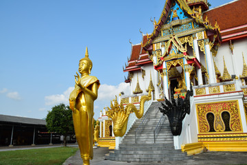 Buddha statue in temple.