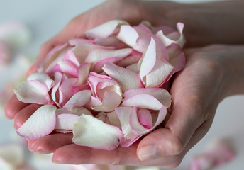 air rose petals in the palms of the girl