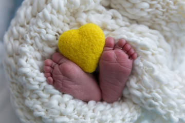 Fototapeta na wymiar newborn child. baby legs. the legs of the newborn. legs on green background. child's feet