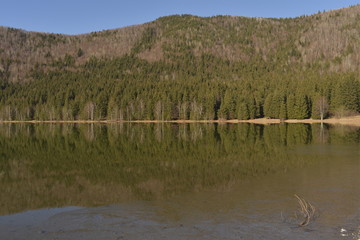 mirroring in the water