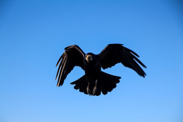 Ireland - from Dublin to Wild Atlantic Way