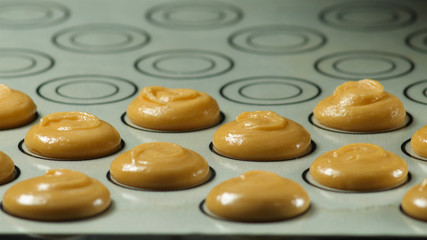 Making macaron macaroon, french dessert, squeezing the dough form cooking bag.