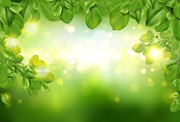 Tree leaves border on green abstract defocused background with sun beams and blurry shining circles. Fresh spring or summer season floral backdrop or nature template. Realistic 3d vector illustration