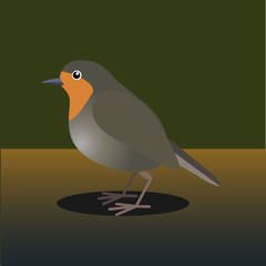 Robins, redbreast, a popular bird.