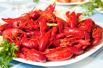 Boiled crawfish on plate close up