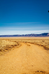 A dirt road in the desert that curves as it moves away from the viewer.