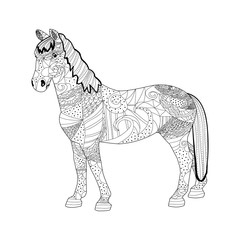 Horse zentangle on a white background