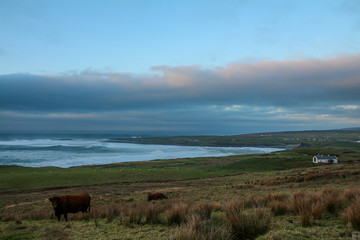 Ireland - from Dublin to Wild Atlantic Way