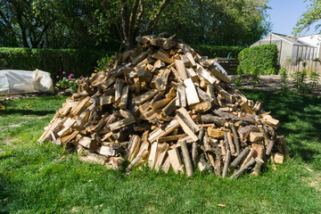 Brennholz- Haufen im Garten