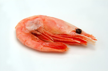 Shrimps isolated on a white background, top view