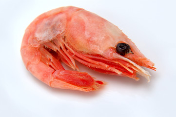 Shrimps isolated on a white background, top view