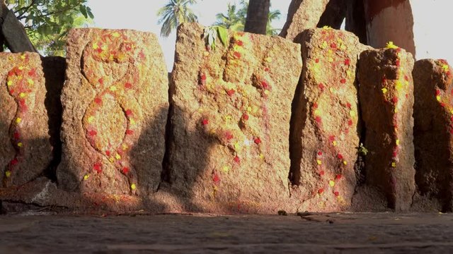 Snake temple in india outdoors