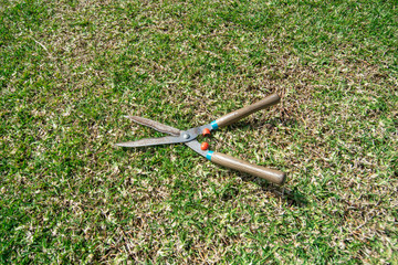 Gardening Tools on grass green background.