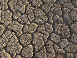 Dried out river bed (wadi) in Negev desert of Israel around the Dead Sea. Light brown background.