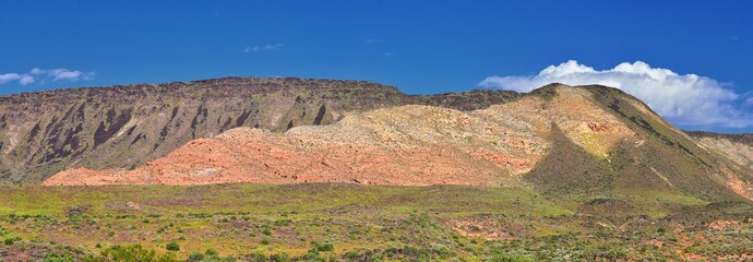 Views of Red Mountain Wilderness and Snow Canyon State Park from the  Millcreek Trail and Washington Hollow by St George, Utah in Spring bloom in desert. United States.
