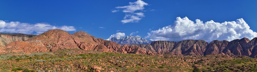 Views of Red Mountain Wilderness and Snow Canyon State Park from the  Millcreek Trail and Washington Hollow by St George, Utah in Spring bloom in desert. United States.