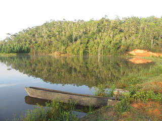 Lake during early morning near Andasibe-Mantadia National Park (Perinet), Madagascar