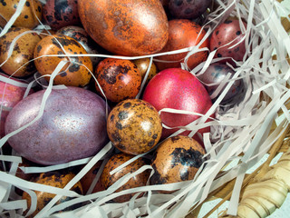 Painted chicken and quail eggs in a basket for the Easter holiday