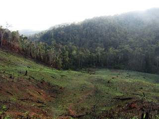 Deforested hills by fire?fallow cultivation near Andasibe-Mantadia NP in Madagascar. A farming method that involves the cutting and burning of plants in a forest to create a field called a swidden.