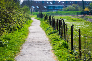 path in the park