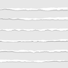 Ripped Paper Isolated