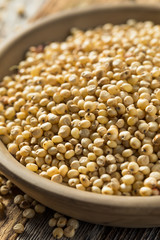 Raw Organic Sorghum Grain