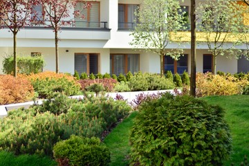 Ornamental shrubs and plants near a residential city house
