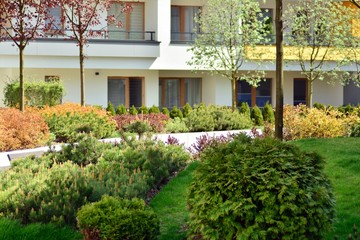 Fototapeta na wymiar Ornamental shrubs and plants near a residential city house