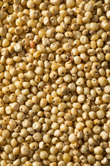 Raw Organic Sorghum Grain