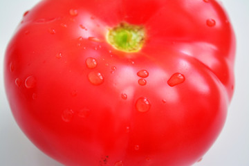 tomato
