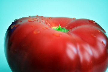 tomato