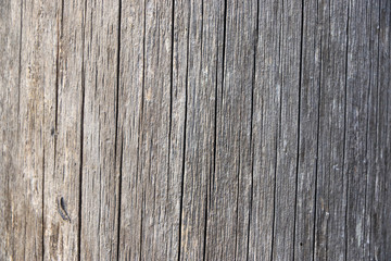 A cut of a wooden trunk with cracks and annual rings for use as a background or texture. Old patterns on the background of natural origin.