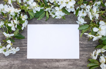 white cherry flowers on old wooden boards, cherry branch. A sheet of white paper for your text.