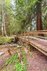 Majestic mountain river in Vancouver, Canada.