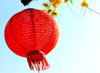 Fototapeta na wymiar Red Chinese paper lantern waving in the wind against the light sky background. Decorating the streets to celebrate the Chinese New Year. Selective focus