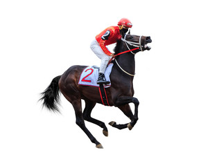 jockey horse racing isolated on white background