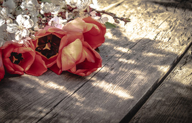 A bouquet of red tulips and white flowers on a background of wooden, old boards. Place for text. The concept of spring has come.