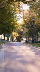 Fototapeta premium path through city park with bench and lantern at autumn. background, nature.