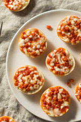 Frozen Mini PIzza Bagels