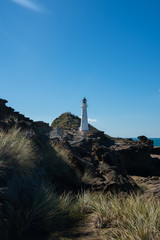 Castlepoint Lighthouse in the Wairarapa, New Zealand on a clear sunny day