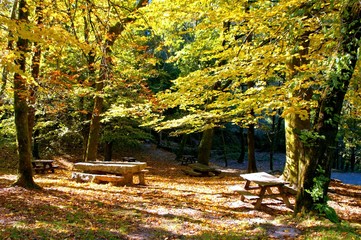 Parque Nacional Peneda Ger&ecirc;s