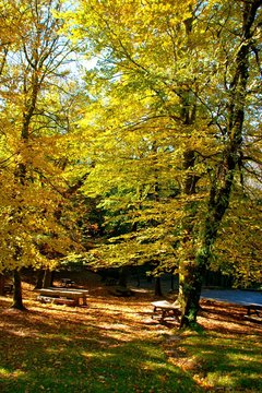 Parque Nacional Peneda ger&ecirc;s