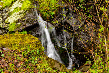 Beautiful landscape view of waterfall flowing around rocks with greens and stones.