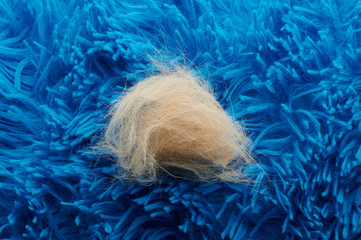 Brown animal fur on blue carpet