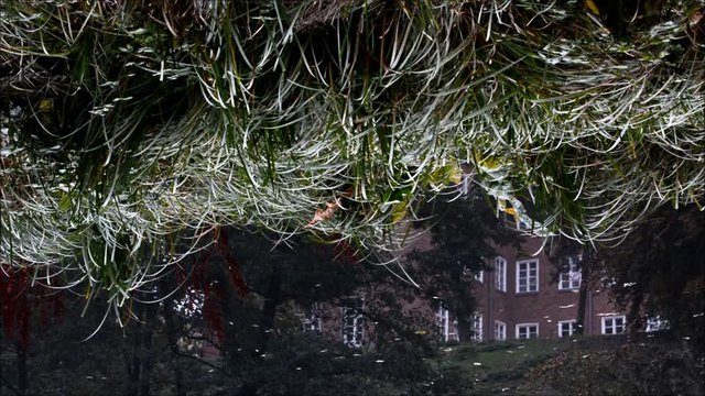 Autumnal Impressions from City Park (Fennsee) in Berlin Wilmersdorf from October 25, 2016, Germany 