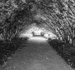 Obraz premium Tunnel Path