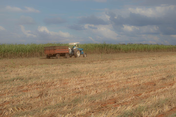 tractor in field