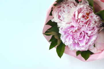 Light pink peony bouquet wrapped in tissue paper on pink background with copy space