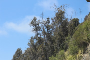 Obraz premium drive to Malibu