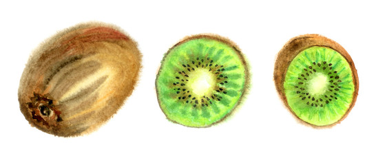 Kiwi fruit, whole and in cut, tropical fruit set, watercolor painting on white background.